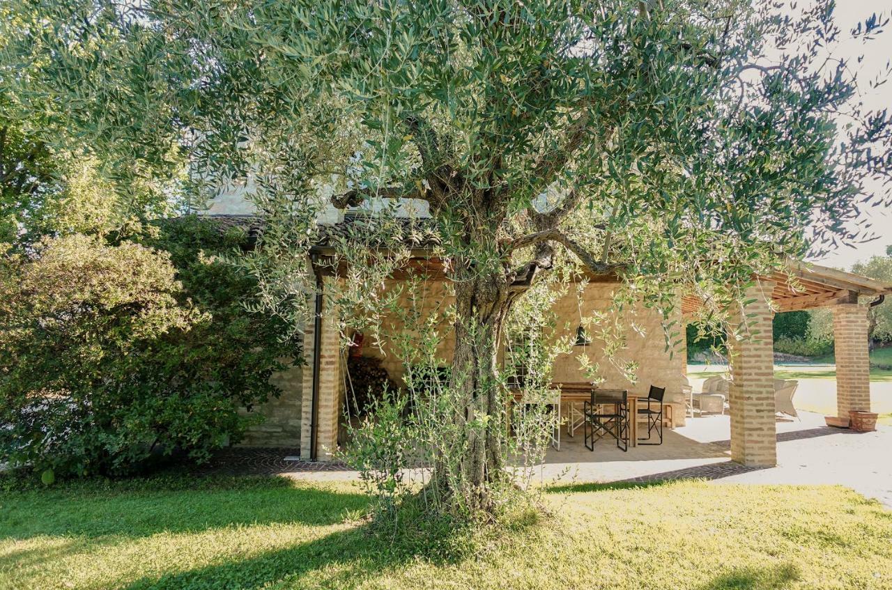 Casale Bellaguardia Villa ฟอสซอมโบรเน ภายนอก รูปภาพ